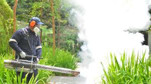 Best Residential Pest Control  in Garden Grove, CA